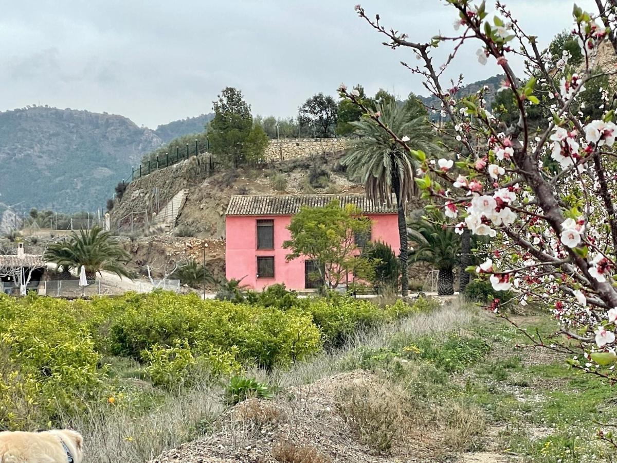 Casa Ramoncico. Finca El Campillo Бланка Экстерьер фото