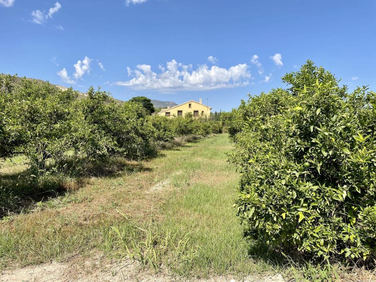 Casa Ramoncico. Finca El Campillo Бланка Экстерьер фото