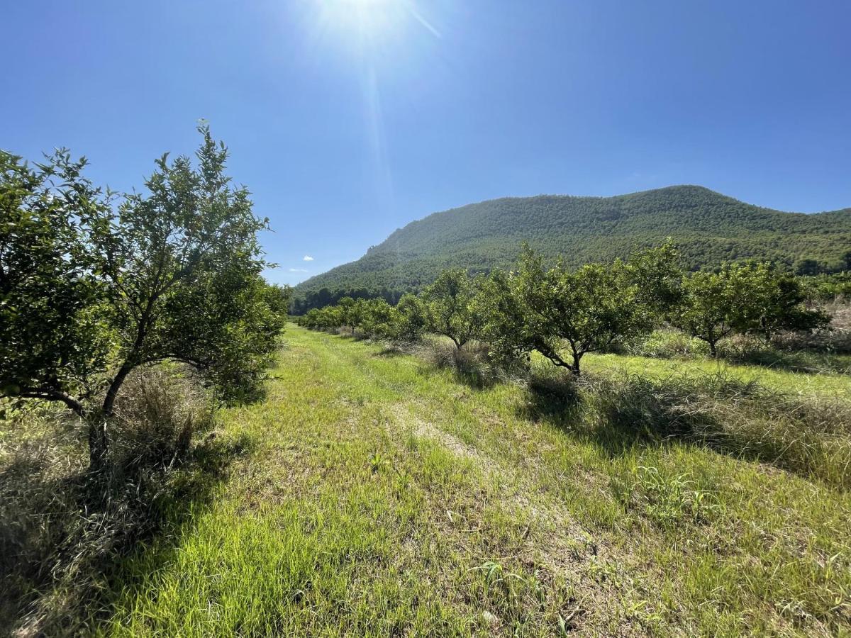 Casa Ramoncico. Finca El Campillo Бланка Экстерьер фото