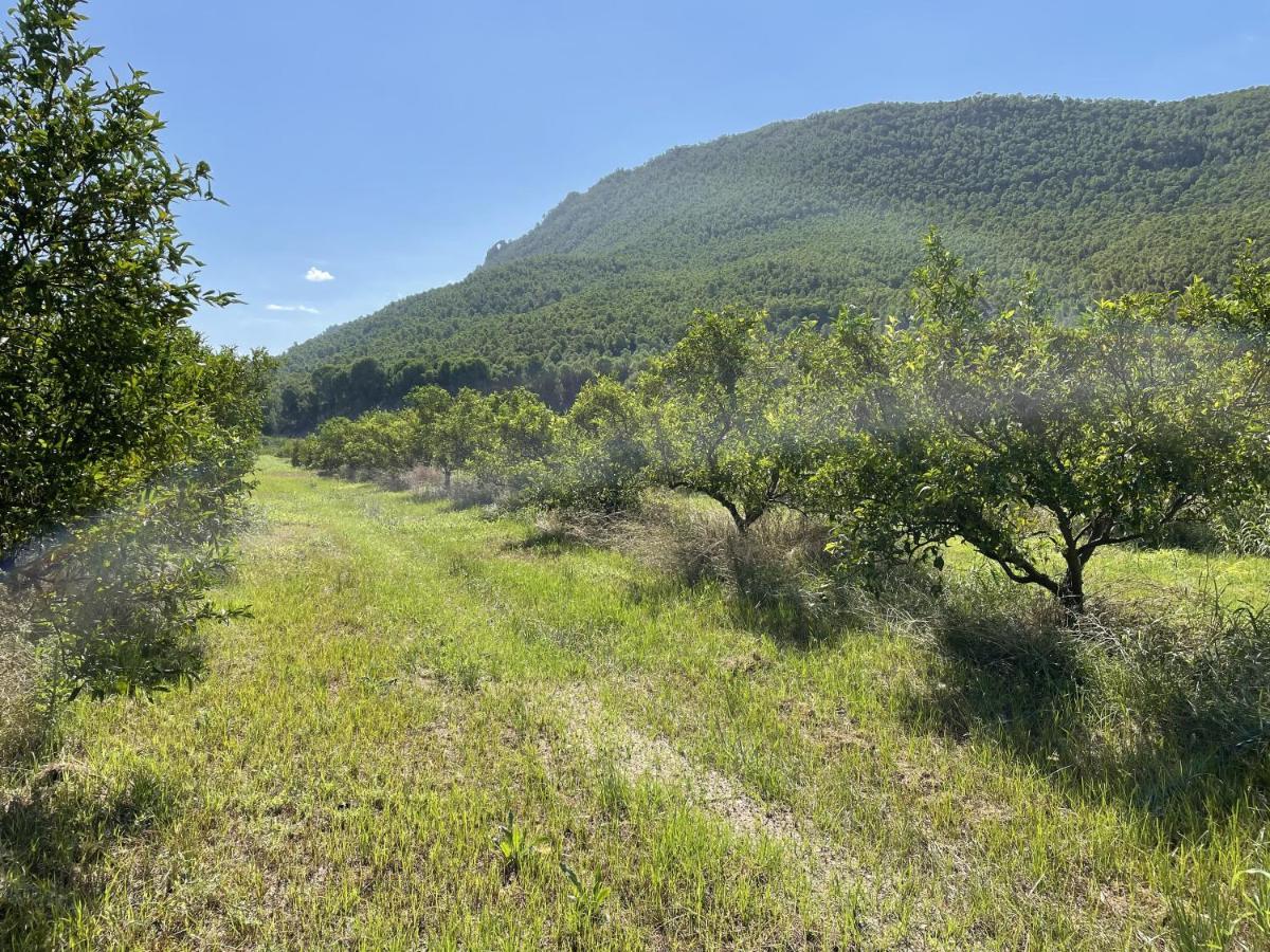 Casa Ramoncico. Finca El Campillo Бланка Экстерьер фото
