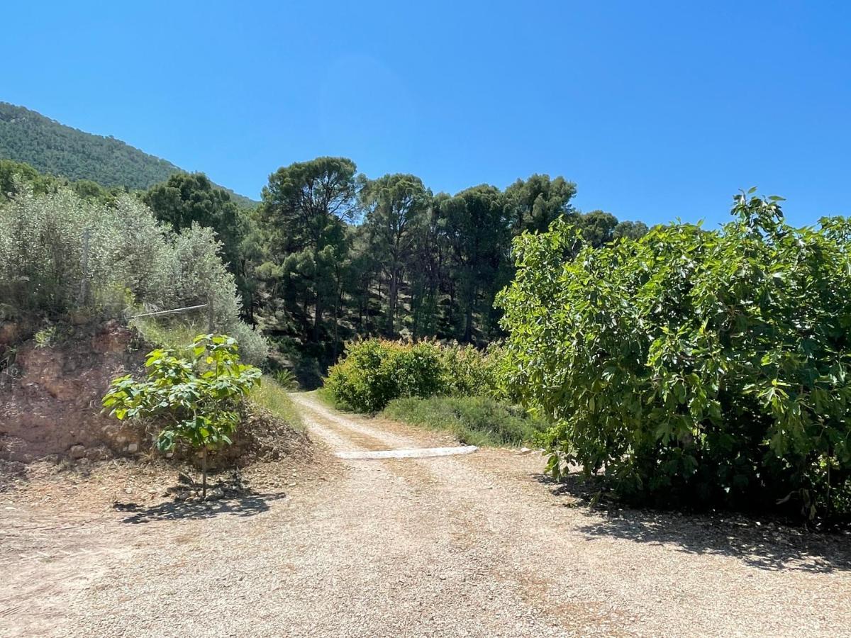 Casa Ramoncico. Finca El Campillo Бланка Экстерьер фото