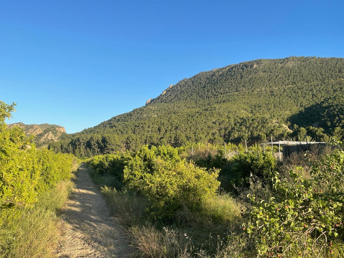 Casa Ramoncico. Finca El Campillo Бланка Экстерьер фото